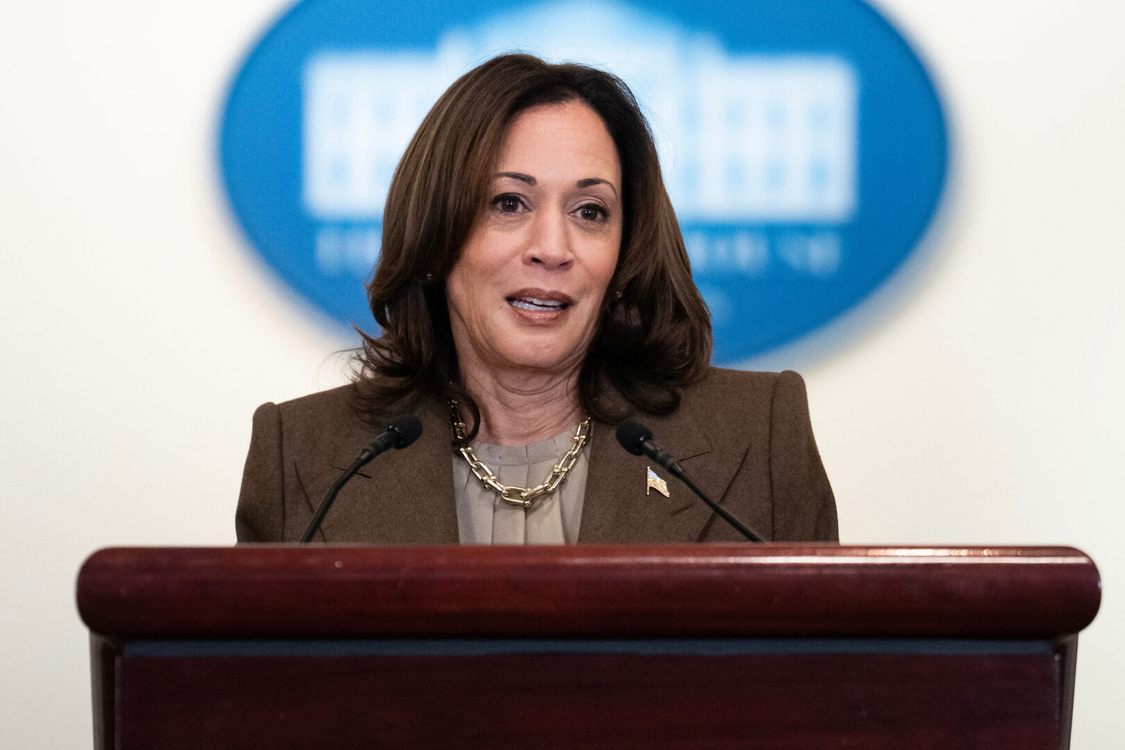 Vice President Kamala Harris addresses an event with descendants of iconic civil rights leaders to celebrate Black History Month at the Eisenhower Executive Office Building on Feb. 13. 